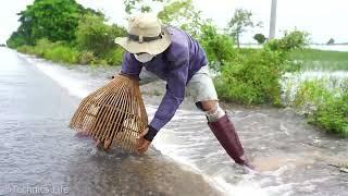 catch mystery fish a lots of fish coming out when the road flooding