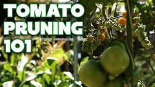 How to Prune Tomatoes No Matter How Youre Growing Them