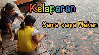 Vlog Liburan Keluarga Kasih Makan Ikan Sekaligus Makan siang bersama keluarga