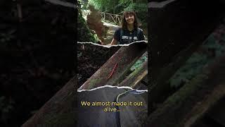 Exploring Niah Caves in Sarawak Borneo East Malaysia 