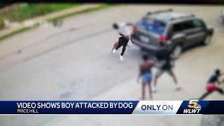 Dog attacks child man who intervened in Price Hill