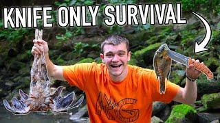 Knife ONLY Survival Challenge No Food No Water No Shelter