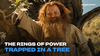 The Rings of Power  Trapped in a Tree  Amazon Prime