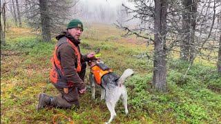 Inarin HirviKarhujahti 22 #teamsakonordic #metsästys #hirvijahti