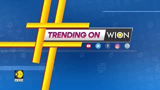 Trending on WION Indian cricketer Rishabh Pant injured in car accident  English News  Latest