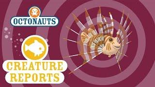 Octonauts Creature Reports - Lion Fish