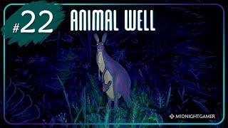 Animal Well  #22  Открываем разные короткие пути в локации