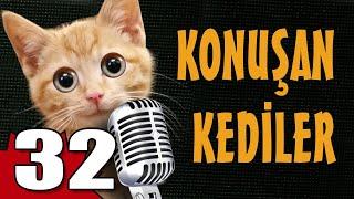 Konuşan Kediler 32 - En Komik Kedi Videoları