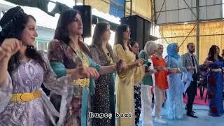 Rugeş bazi Hakkari jirki aşiret düğünü ©️2023 Suatvideo