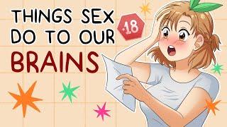 What Sex Does To Your Brain