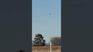 Extreme Winds Stop Bird in Flight 