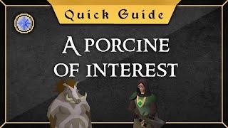 Quest guide A porcine of interest