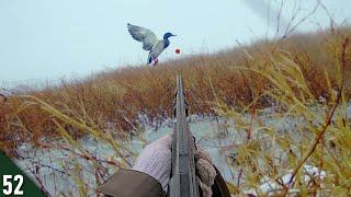 Mallards DUMPED Into This ICE HOLE Limited Out  28 Gauge Duck Hunting