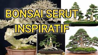 KUMPULAN BONSAI SERUT INSPIRATIF