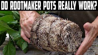 Do Rootmaker Pots  Really Work?