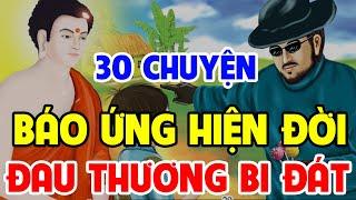 30 Chuyện Nhân Quả Phật Giáo Về BÁO ỨNG HIỆN ĐỜI Đau Thương Bi Đát Nhất AI CŨNG NÊN NGHE Dù 1 Lần