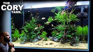 The Cory Tank EPIC 3ft Aquascape Tutorial