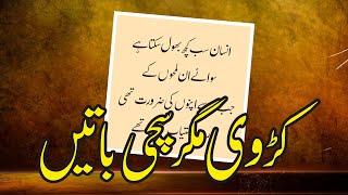 Heart Touching and Amazing Urdu Quotes Collection - Aqwal e Zareen 2024