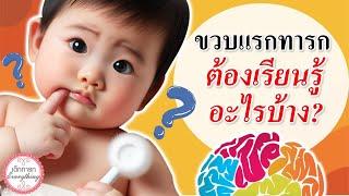 พัฒนาการทารก  ขวบแรก ทารกต้องเรียนรู้อะไรบ้าง ? พัฒนาทารก  เด็กทารก Everything