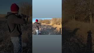 Mosin BLASTS Tannerite #mosinnagant #vintage #shooting #nuggets  #pewpew #fun #shorts #rifle