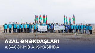 AZAL əməkdaşları ağacəkmə aksiyasında