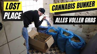 Cannabis Plantage im Bunker - Polizei zu faul das Gras mitzunehmen *