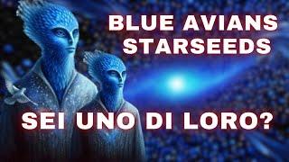 Blue Avian Starseeds Sei Uno di Loro? Ecco i segni