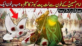 Imam Hussain aur kabutar ka waqia  Imam hussain ki shahadat ka waqia  Qalandar Voice