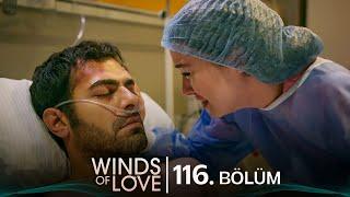 Rüzgarlı Tepe 116. Bölüm  Winds of Love Episode 116