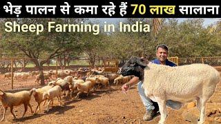 इतना बड़ा भेड़ फॉर्म आपने देखा नहीं होगा  Sheep Farming  Sheep Farming in India  Sheep Farm Tour