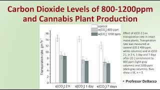 Carbon Dioxide Levels of 800 to 1200ppm and Cannabis Plant Production