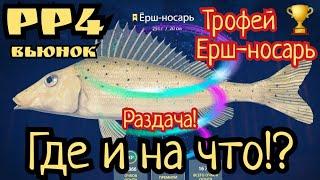 РР4. Раздача трофеев Мой 63-й Трофей Ерш-носарь на Вьюнке Где и на что клюет?