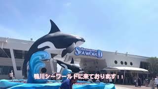 【鴨川シーワールド】シャチショーなど満喫【鴨川グランドホテル】