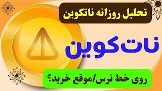 تحلیل نات کوین  وقتی همه ترسیدند تو طمع کنارز ناتکوین و حرکت بعدی