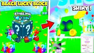 I Broke The New *SECRET* Black Lucky Block And This Happened? Rainbow Lucky Block Update Pet Sim X