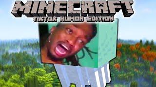 Minecraft TikTok Humor Edition