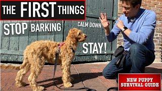 NEW PUPPY SURVIVAL GUIDE How to Train ANY Dog to STOP Barking Calm Down & Stay EP 7