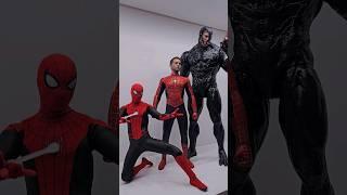 Hot Toys Spider-Man & Venom TOGETHER again  #hottoys #spiderman #marvel #venom