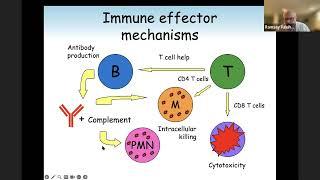 Primary vs.  Secondary Immune Deficiency