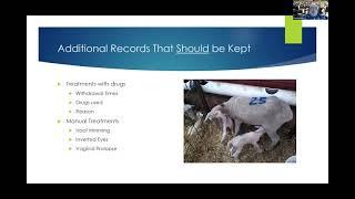 Goat & Sheep Management- Record keeping and proper identification-   Dan Persons Part 2