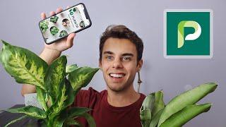 Planta App Review and How to Use