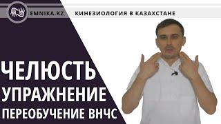 Челюсть. Упражнение. Переобучение ВНЧС