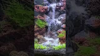 aquascape