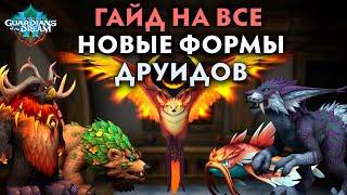 ПОЛУЧАЕМ ВСЕ НОВЫЕ ФОРМЫ ДРУИДА  ОБЗОР + РУКОВОДСТВО  Патч 10.2 WoW Dragonflight 