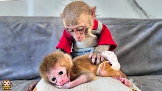 YiYi helps take care of Baby monkey while grandpa cooks for her