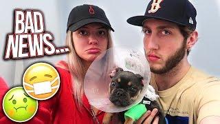 Our puppy is sick... bad news