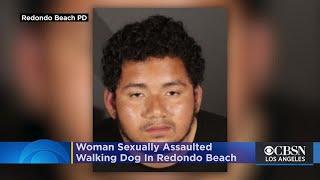 Woman Walking Dog Sexually Assaulted In Redondo Beach Good Samaritan Detains Suspect