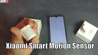Xiaomi Smart Home Motion & Light Sensor