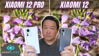 Xiaomi 12 vs Xiaomi 12 Pro Camera Test  50MP cameras + different sensors = same result?