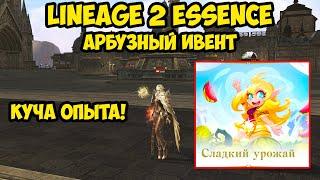 Получи огромное количество опыта с арбузного ивента в Lineage 2 Essence.